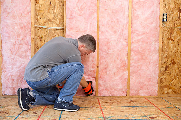 Best Insulation Installation Services in Muldrow, OK